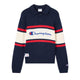 223498-BS501